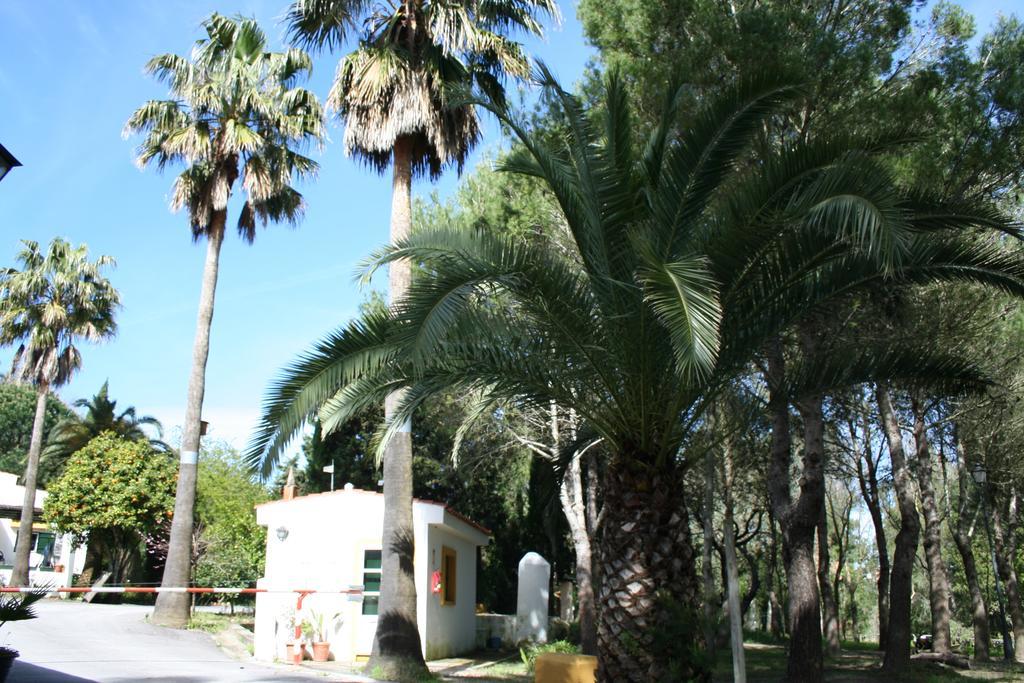 Bungalows Y Glamping Medina Sidonia 외부 사진
